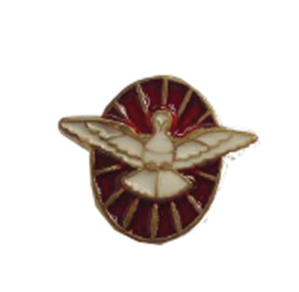 Pin Solapa